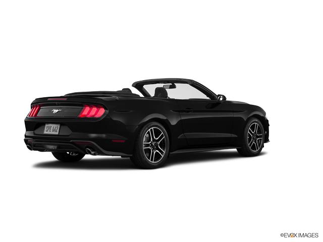 2019 Ford Mustang Vehicle Photo in BRUNSWICK, GA 31525-1881