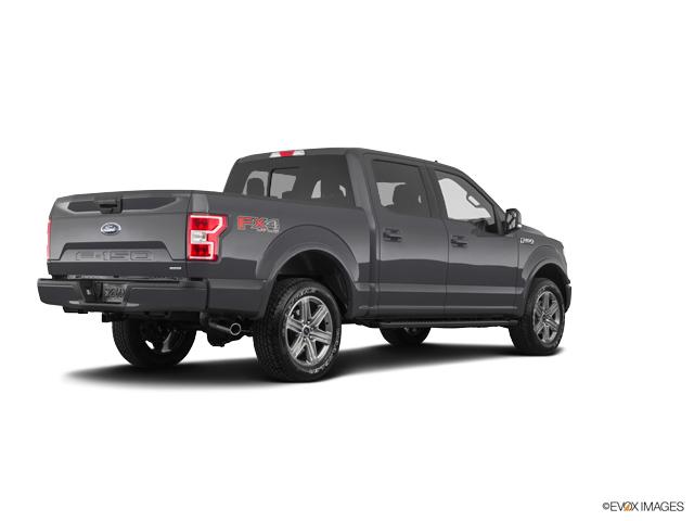 2019 Ford F-150 Vehicle Photo in Statesboro, GA 30458