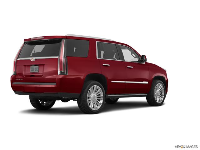 2019 Cadillac Escalade Vehicle Photo in TOPEKA, KS 66609-0000