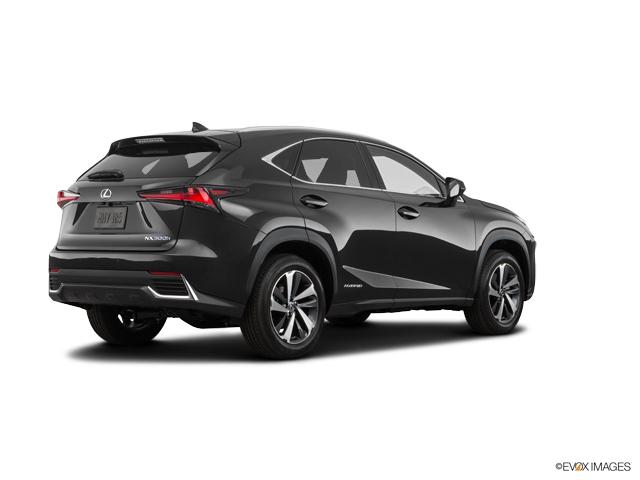 2020 Lexus NX 300h Vehicle Photo in Lees Summit, MO 64086