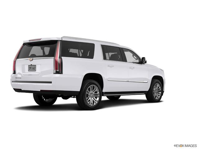 2020 Cadillac Escalade ESV Vehicle Photo in KANSAS CITY, MO 64114-4545
