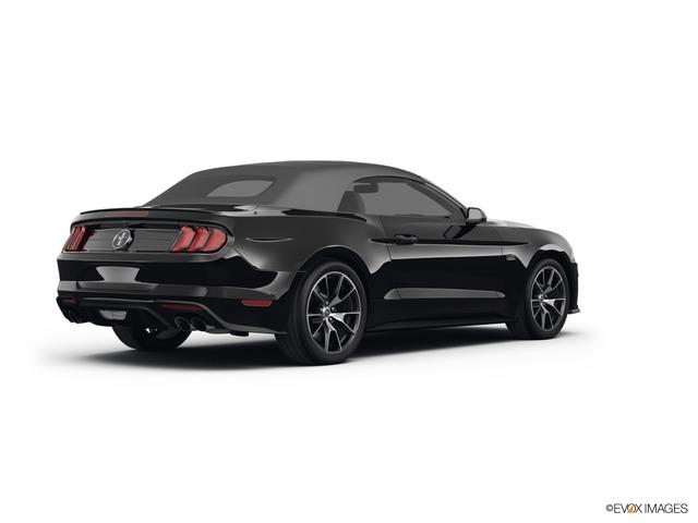 2021 Ford Mustang Vehicle Photo in Statesboro, GA 30458