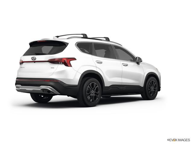 2022 Hyundai SANTA FE Vehicle Photo in Bluffton, SC 29910
