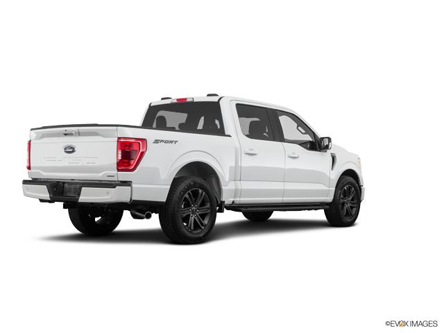 2022 Ford F-150 Vehicle Photo in Savannah, GA 31419