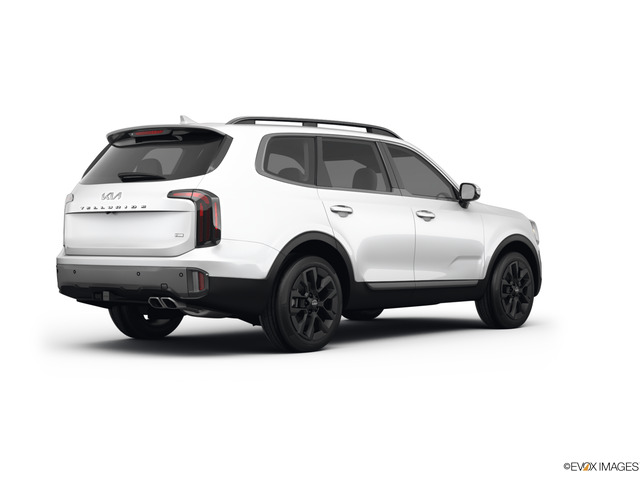 2023 Kia Telluride Vehicle Photo in KANSAS CITY, MO 64114-4502