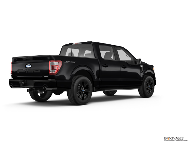 2023 Ford F-150 Vehicle Photo in POOLER, GA 31322-3252