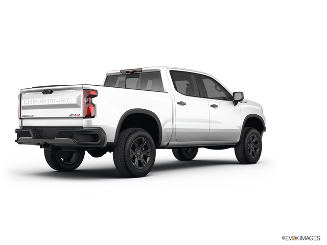 2022 Chevrolet Silverado 1500 Vehicle Photo in INDEPENDENCE, MO 64055-1314