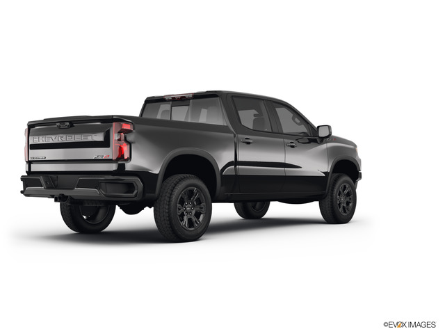 2022 Chevrolet Silverado 1500 Vehicle Photo in INDEPENDENCE, MO 64055-1314