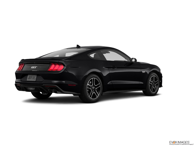 2023 Ford Mustang Vehicle Photo in INDEPENDENCE, MO 64055-1314