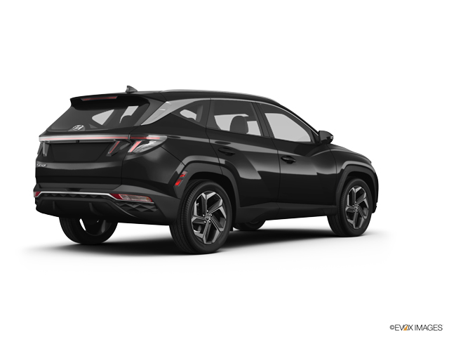 2024 Hyundai TUCSON Vehicle Photo in Statesboro, GA 30458