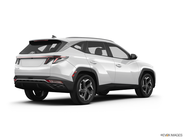 2024 Hyundai TUCSON Vehicle Photo in Brunswick, GA 31525