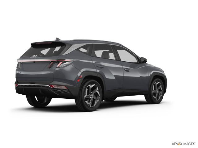 2024 Hyundai TUCSON Vehicle Photo in Brunswick, GA 31525