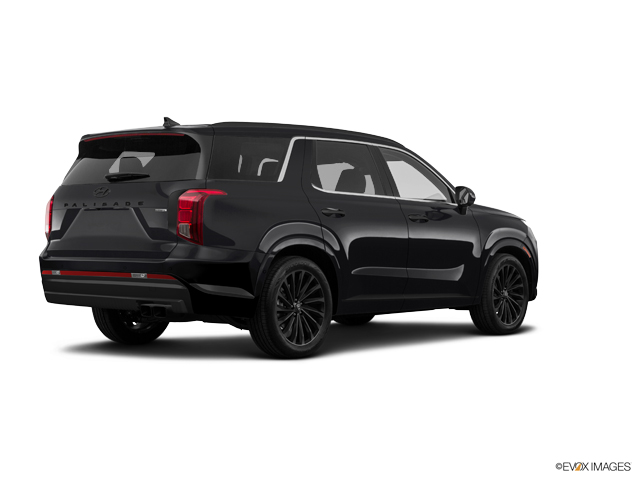 2024 Hyundai PALISADE Vehicle Photo in Lees Summit, MO 64086
