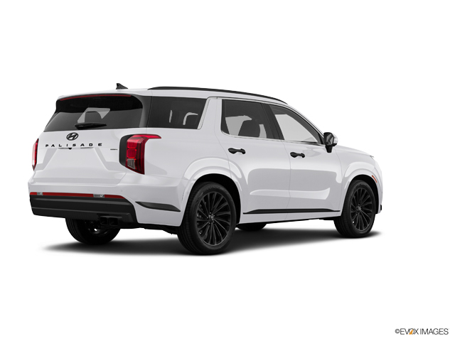 2024 Hyundai PALISADE Vehicle Photo in Bluffton, SC 29910