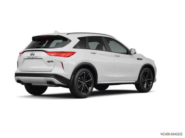 2024 INFINITI QX50 Vehicle Photo in Willow Grove, PA 19090