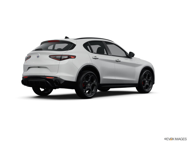 2024 Alfa Romeo Stelvio Vehicle Photo in Willow Grove, PA 19090