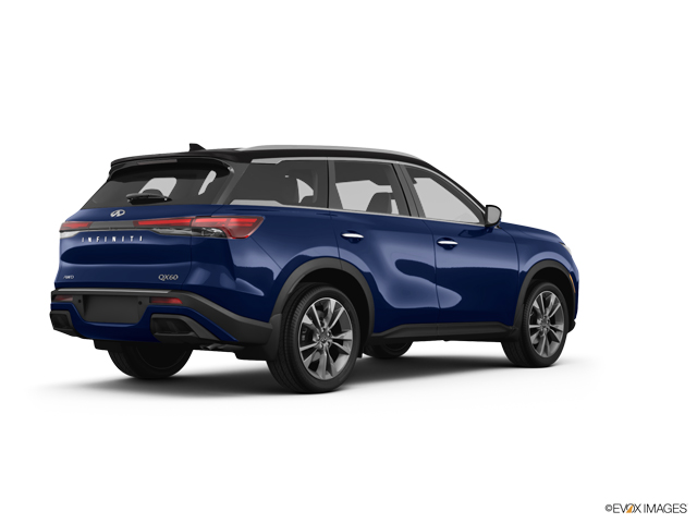 2025 INFINITI QX60 Vehicle Photo in Bluffton, SC 29910