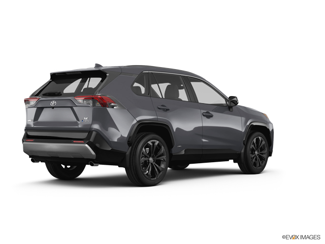 2025 Toyota RAV4 Vehicle Photo in Statesboro, GA 30458