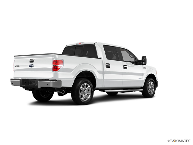 2013 Ford F-150 Vehicle Photo in Hinesville, GA 31313