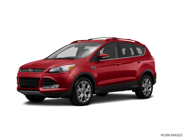 2015 Ford Escape Vehicle Photo in Kansas City, MO 64114