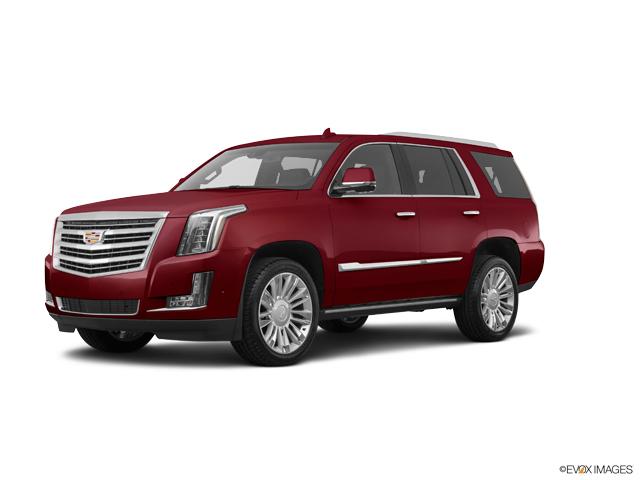 2019 Cadillac Escalade Vehicle Photo in TOPEKA, KS 66609-0000