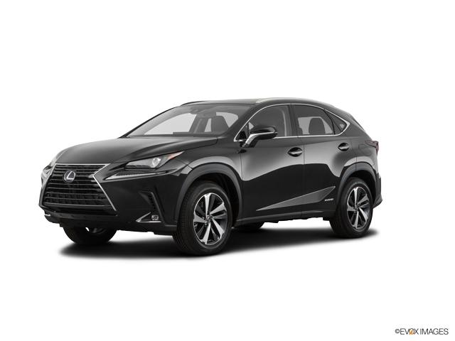 2020 Lexus NX 300h Vehicle Photo in Lees Summit, MO 64086