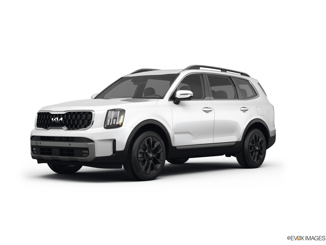 2023 Kia Telluride Vehicle Photo in KANSAS CITY, MO 64114-4502