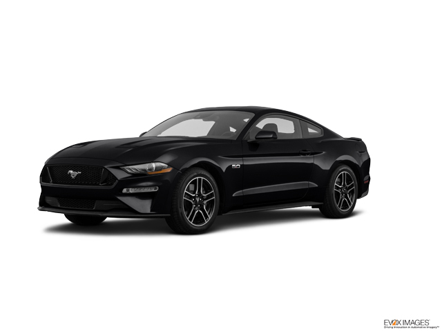 2023 Ford Mustang Vehicle Photo in INDEPENDENCE, MO 64055-1314