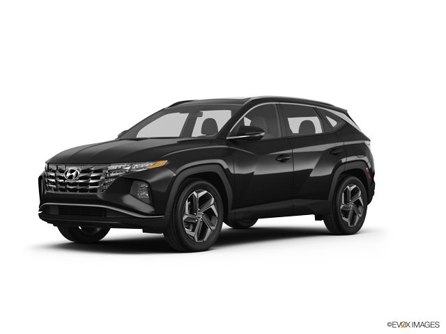 2024 Hyundai TUCSON Vehicle Photo in Statesboro, GA 30458