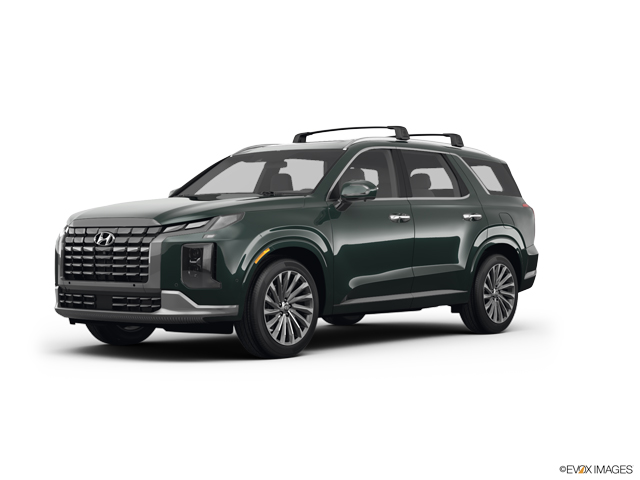2024 Hyundai PALISADE Vehicle Photo in BEAUFORT, SC 29906-4218