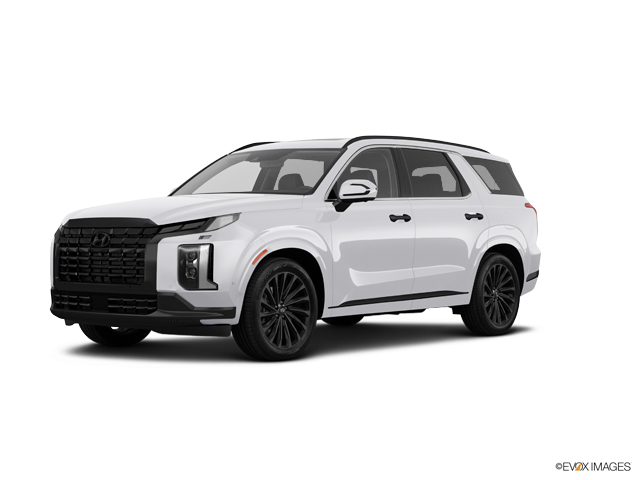 2024 Hyundai PALISADE Vehicle Photo in Bluffton, SC 29910