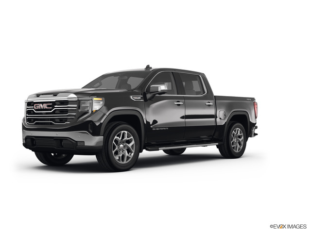 2024 GMC Sierra 1500 Vehicle Photo in BEAUFORT, SC 29906-4218