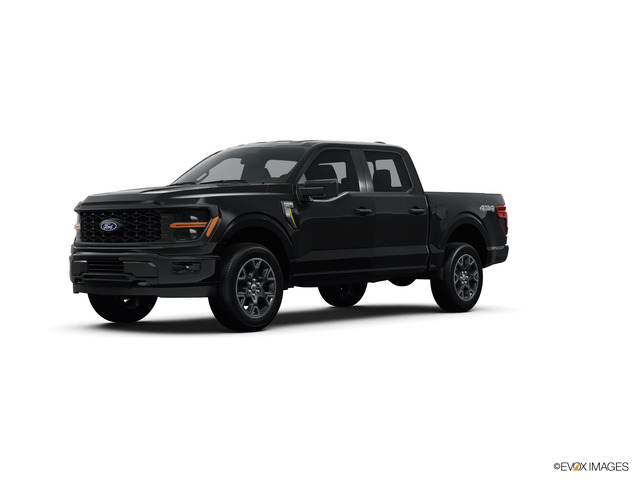 2024 Ford F-150 Vehicle Photo in BEAUFORT, SC 29906-4218