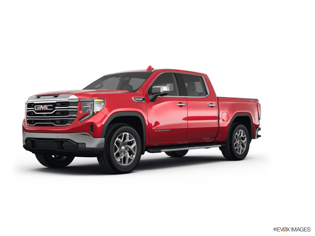 2025 GMC Sierra 1500 Vehicle Photo in Statesboro, GA 30458