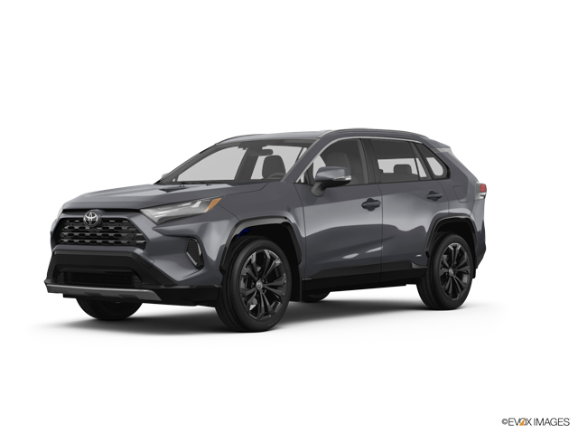 2025 Toyota RAV4 Vehicle Photo in Statesboro, GA 30458