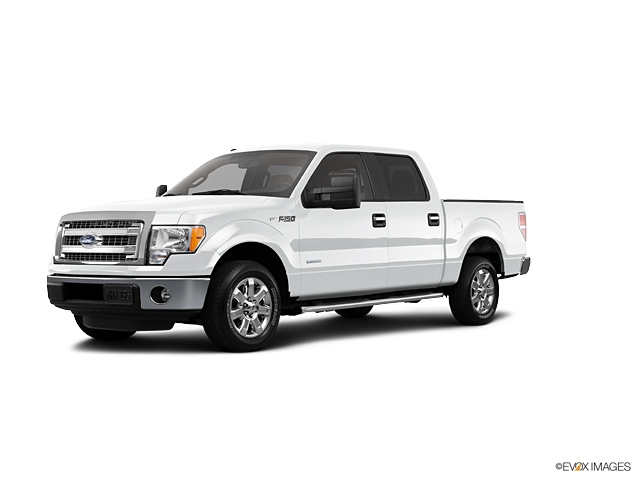 2013 Ford F-150 Vehicle Photo in Hinesville, GA 31313